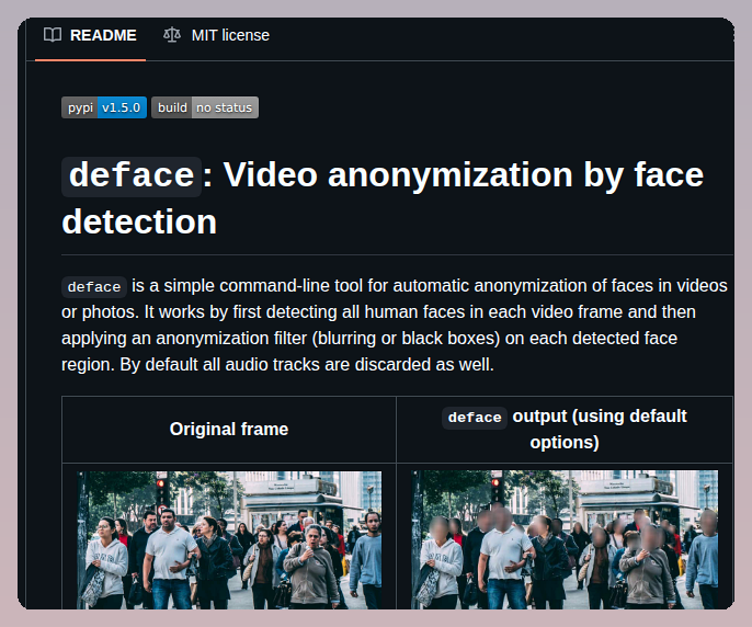Videolarda Yüzleri Anonimleştirme ekran görüntüsü